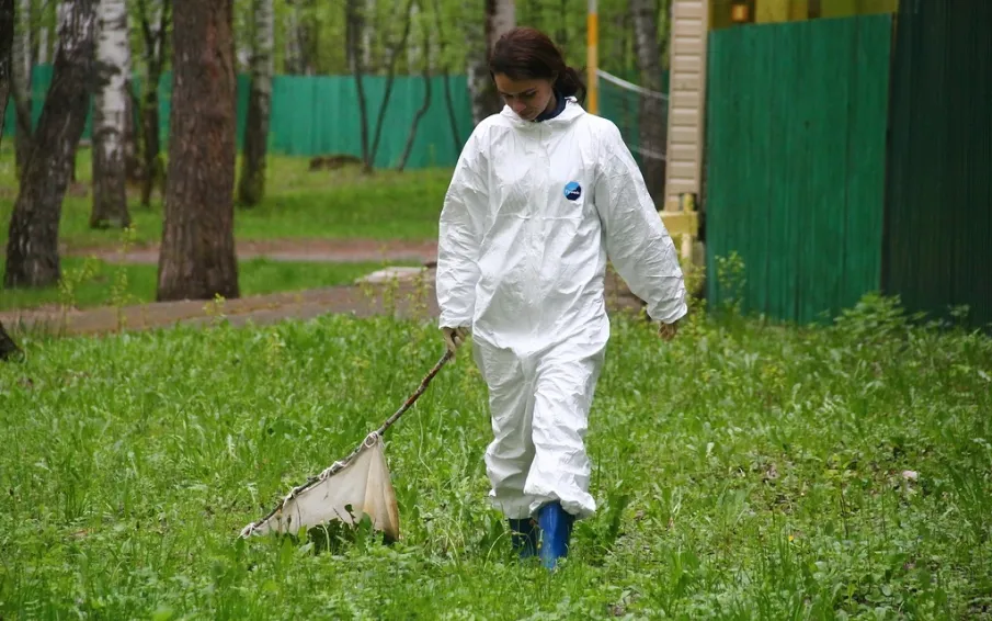 Об эпидемиологической ситуации по  инфекциям, передающимися клещами